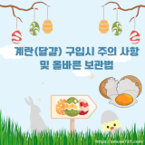 계란(달걀) 구입시 주의 사항 및 올바른 보관법