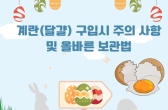 계란(달걀) 구입시 주의 사항 및 올바른 보관법