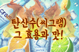 탄산수(씨그램) 그 효용과 맛!
